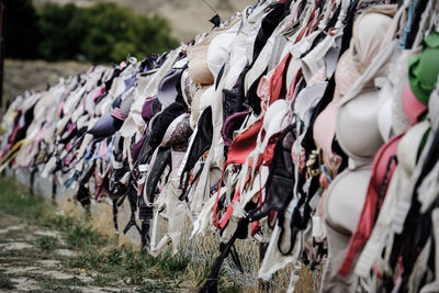 Bras drying on field