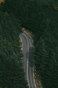 High angle view of road amidst trees