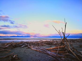 Scenic view of beach against sky during sunset