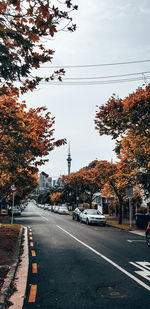 Road by trees in city against sky