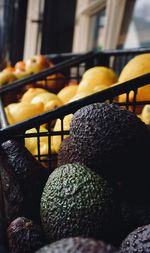 Close-up of avocados at a green grocery shop.