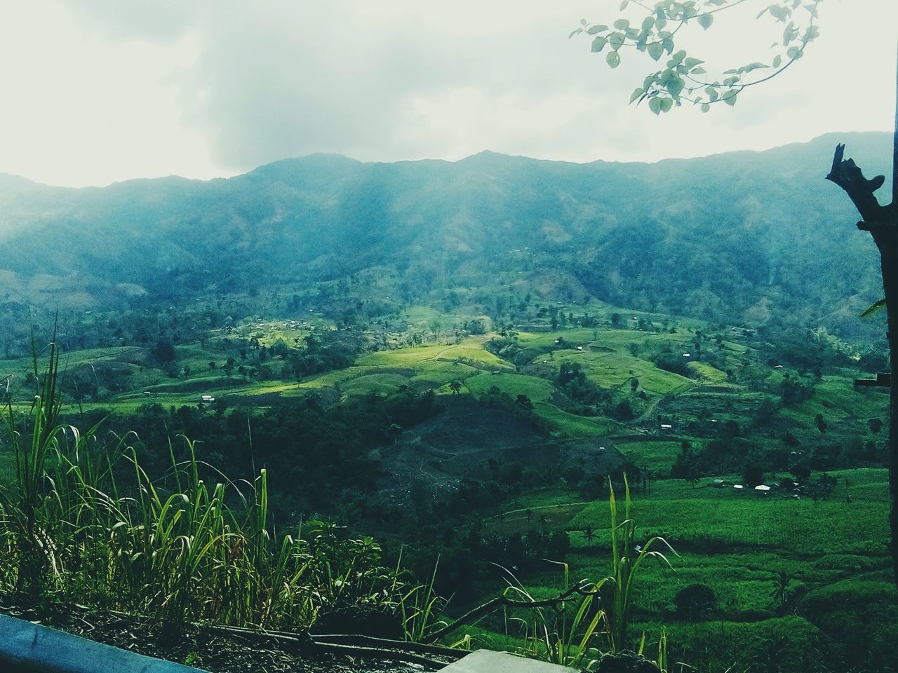 mountain, landscape, scenics, green color, tranquil scene, mountain range, sky, beauty in nature, tranquility, tree, nature, grass, growth, non-urban scene, hill, cloud - sky, field, idyllic