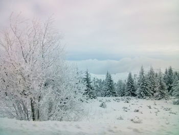 Snow covered landscape