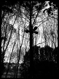 Low angle view of bare tree against sky