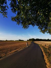 Road amidst field against sky