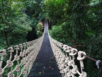 Footbridge amidst trees in forest