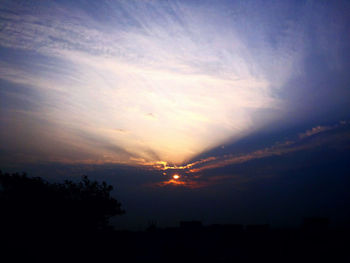 Silhouette of trees at sunset