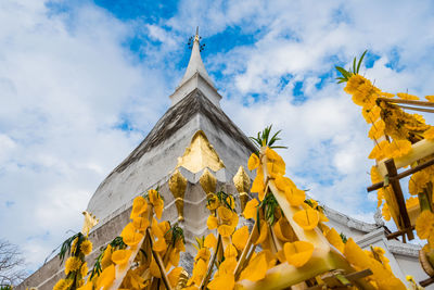 Low angle view of yellow flowers on building against sky