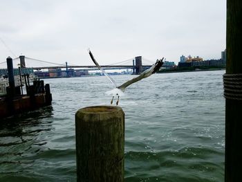 View of wooden posts in water