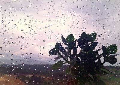 Raindrops on glass window against sky