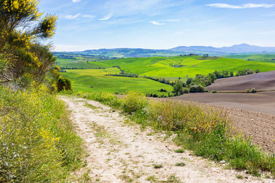 Scenic view of road amidst field against sky