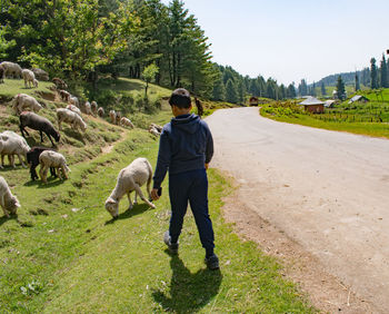 Rear view of boy walking on field