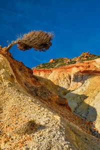 Tree on hill slope. milos island, greece