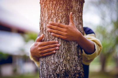 Close-up of man holding tree trunk