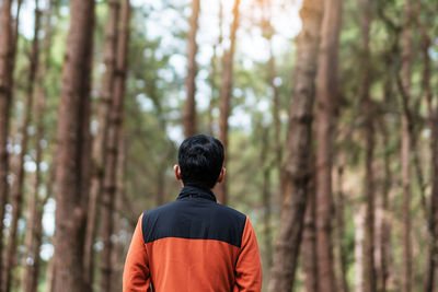 Rear view of man in forest