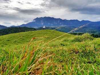 Scenic view of field against sky