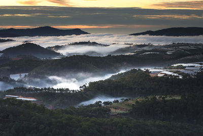 Scenic view of forest against sky at sunset