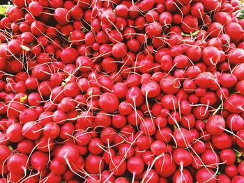 Full frame shot of red for sale at market stall