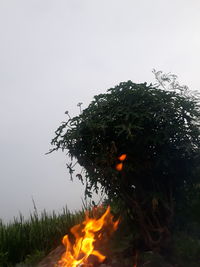 Bonfire on field against clear sky