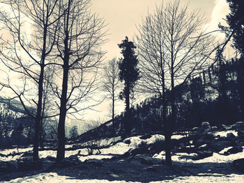 Silhouette bare trees on snow covered land against sky