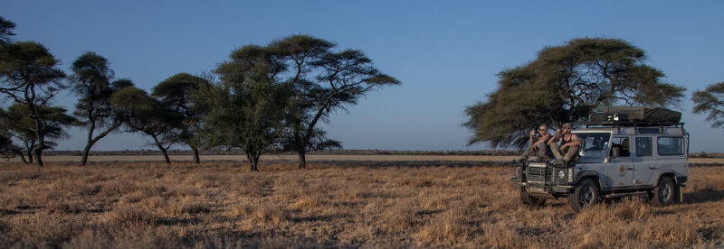 Trees on field against clear sky