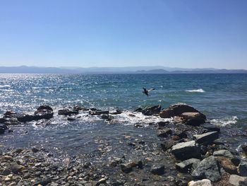 Scenic view of sea against clear blue sky