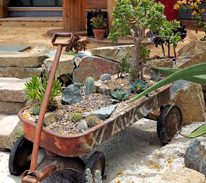 Potted plants in pot