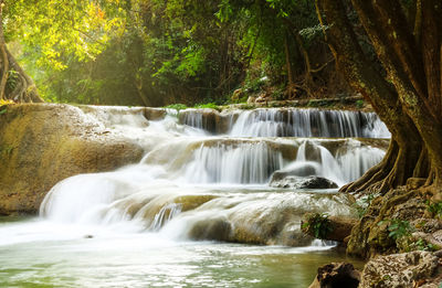 Scenic view of waterfall in forest