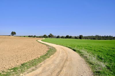 Scenic view of agricultural field against clear blue sky