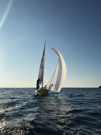 Sailboat sailing in sea against clear sky