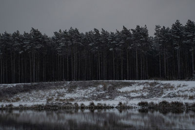 Scenic view of lake against trees in forest