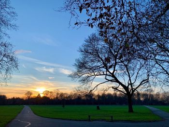 Scenic view of park against sky during sunset