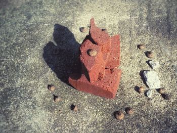 Close-up of heart shape on wall