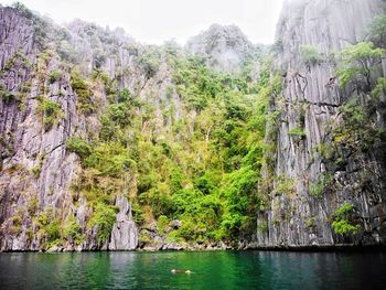 Scenic view of waterfall