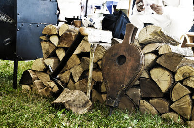 Stack of logs on field