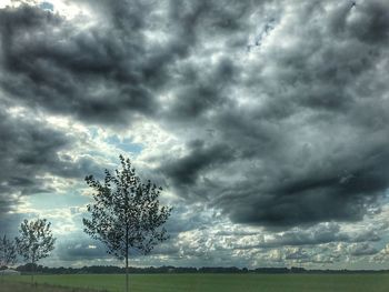 Tree on field against storm clouds