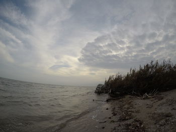 Scenic view of beach against sky