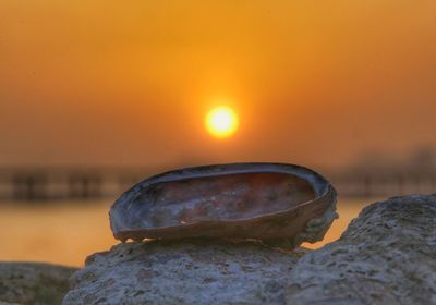 Close-up of rock by sea against sky during sunset