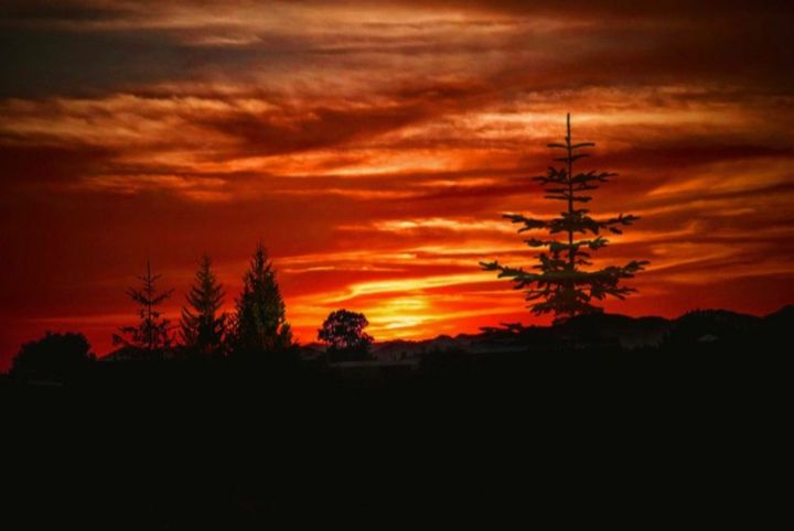 sky, silhouette, sunset, cloud - sky, orange color, nature, beauty in nature, tranquility, tranquil scene, scenics - nature, tree, environment, no people, plant, landscape, outdoors, dark, dramatic sky, idyllic, non-urban scene