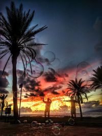 Silhouette palm trees against sky at night