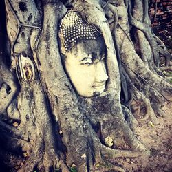 Close-up of statue of tree trunk