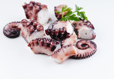 High angle view of octopus in plate