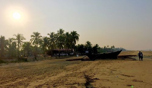 Palm trees on beach against sky