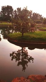 Reflection of trees on water against sky