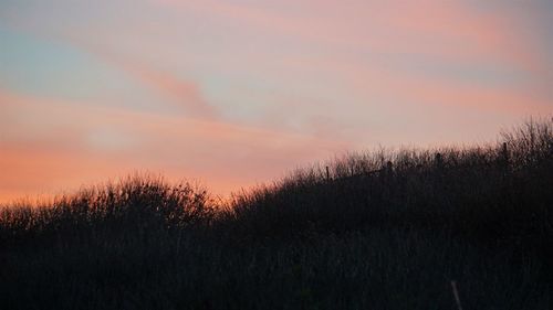 Scenic view of field against sky during sunset