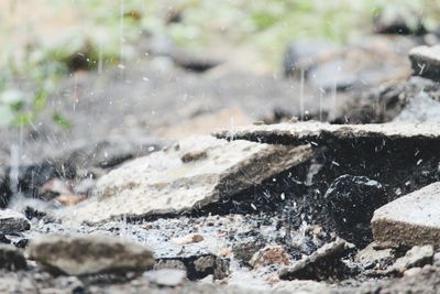 Close-up of water splashing on rocks