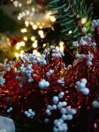 Close-up of christmas tree