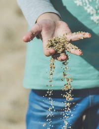 Close-up of hand holding crab