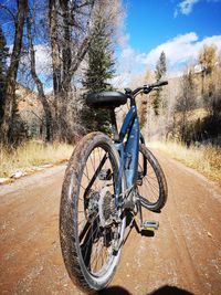 Bicycle parked on road amidst trees