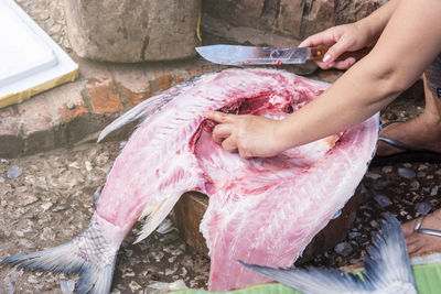 Cropped image of woman cutting fish